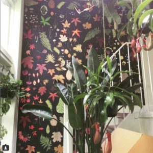 EST-1966 -prinselijk gebonden- no.1