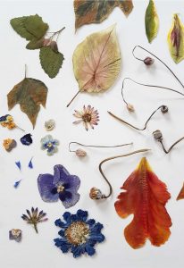 bloemen est1966 by chantal keizer