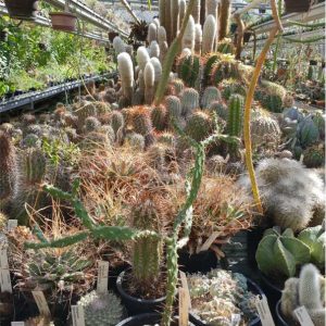 botanische tuin est1966