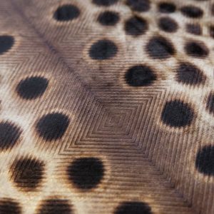 EST1966 BF22 brown detail